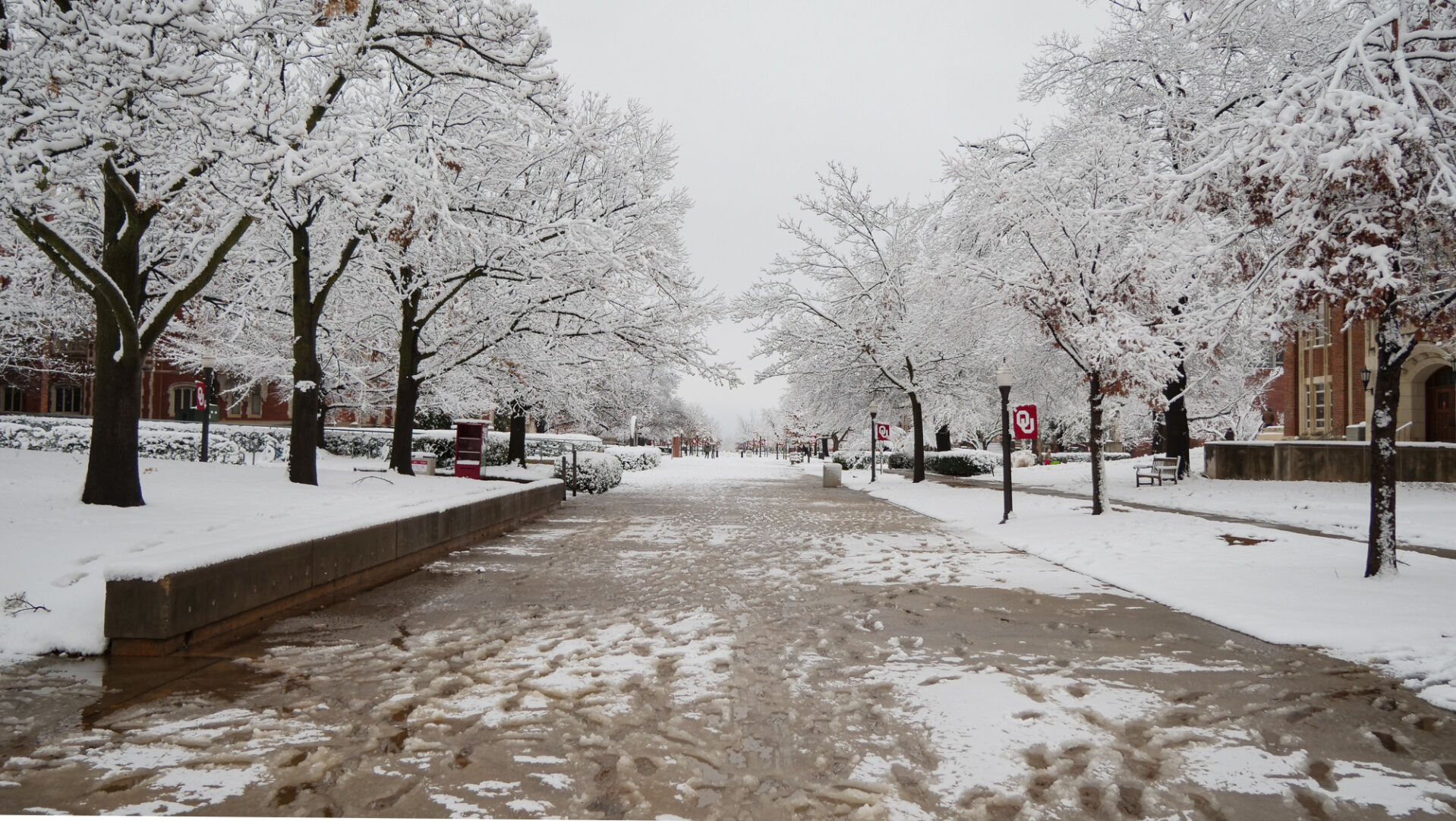 Snow on South Oval